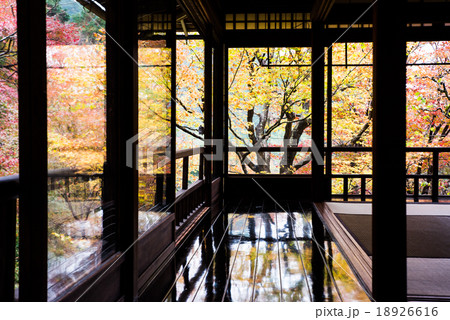 瑠璃光院　書院二階の床紅葉 18926616