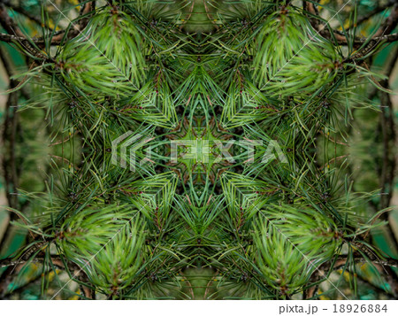 Green abstract kaleidoscope background Green abstract kaleidoscope background 18926884
