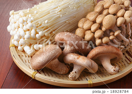 きのこの集合 きのこの集合 18928784