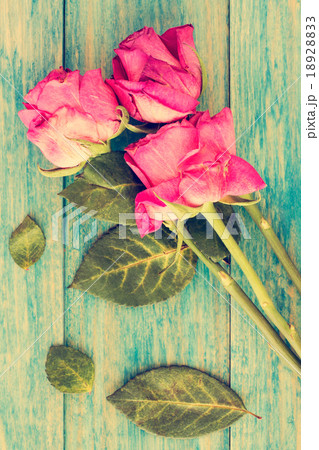 Dried roses on blue wooden background 18928833