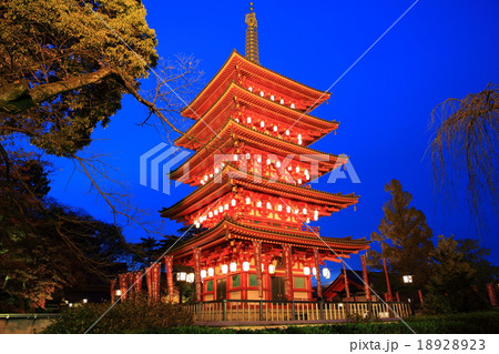高幡不動尊 五重塔夜景 高幡不動尊 五重塔夜景 18928923