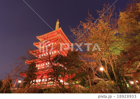 高幡不動尊　五重塔夜景 18928933