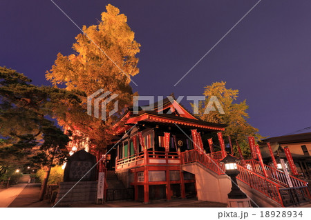 高幡不動尊 不動堂夜景 高幡不動尊 不動堂夜景 18928934