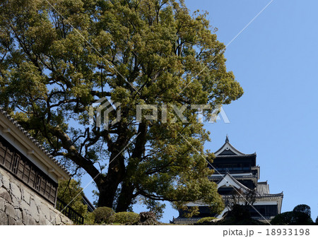 熊本城 熊本城 18933198