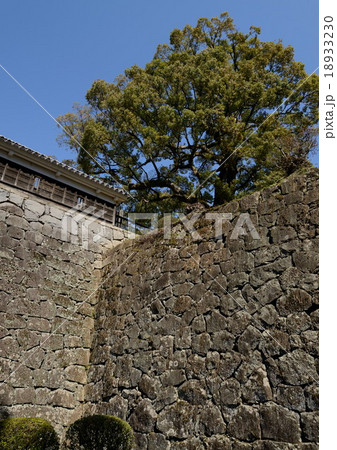 熊本城 熊本城 18933230