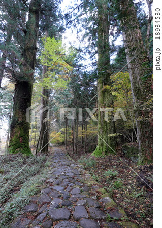 日光二荒山神社 滝尾道 日光二荒山神社 滝尾道 18934530