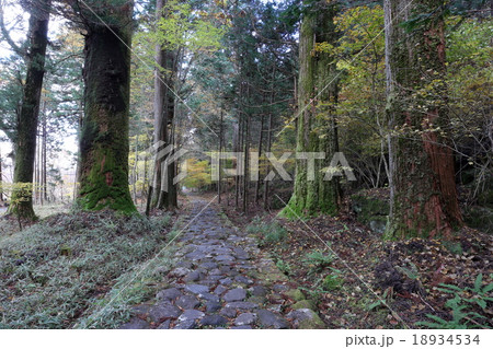 日光二荒山神社 滝尾道 日光二荒山神社 滝尾道 18934534