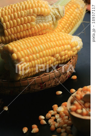 Corn and dried seeds Corn and dried seeds 18937117