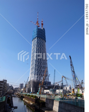 スカイツリー 18937760
