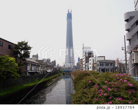 スカイツリー 18937764