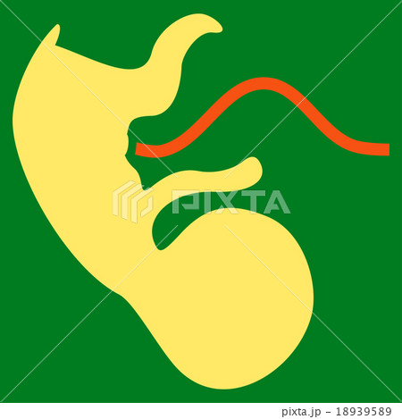 Ape Embryo Icon Ape Embryo Icon 18939589