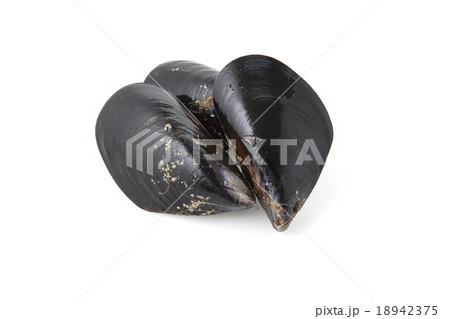食材ムール貝3個 18942375