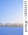 雪原とカラマツ並木 18942472