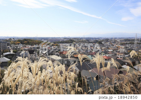 秋の百合ケ丘の住宅街 18942850