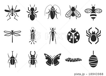 Insect Icons Illustrationのイラスト素材 1439