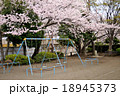 桜とブランコ 18945373