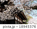 寺と桜 18945376