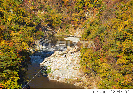 芦ノ牧温泉の渓流、会津、福島県(望遠撮影) 芦ノ牧温泉の渓流、会津、福島県(望遠撮影) 18947454