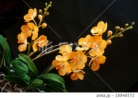 handmade product, clay flower, artificial flowers handmade product, clay flower, artificial flowers 18948572