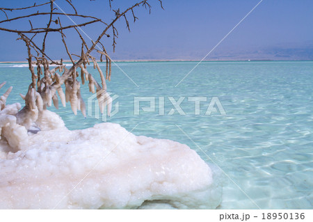 Beautiful coast of the Dead Sea . Beautiful coast of the Dead Sea . 18950136