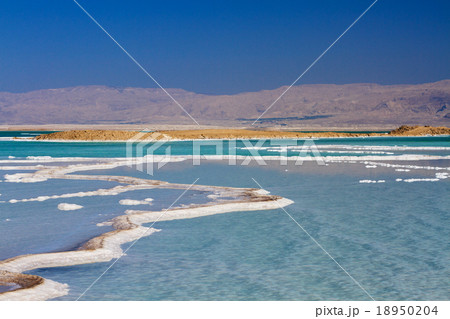 Beautiful coast of the Dead Sea . Beautiful coast of the Dead Sea . 18950204