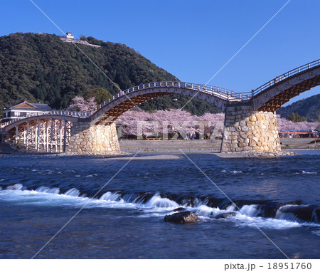 錦川にアーチを描く錦帯橋「日本のさくら名所100選」「日本三名橋」「国指定名勝」と岩国城の春景色 18951760