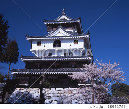 岩国城の天守閣と桜 岩国城の天守閣と桜 18951761