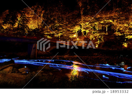 愛知県 香嵐渓 ライトアップ 青色LED流し 18953332