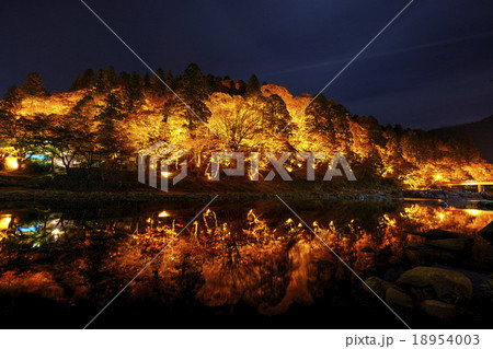 愛知県 香嵐渓 ライトアップ 18954003