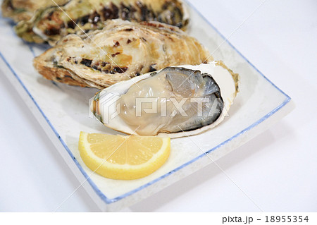 生牡蠣　生ガキ　 18955354