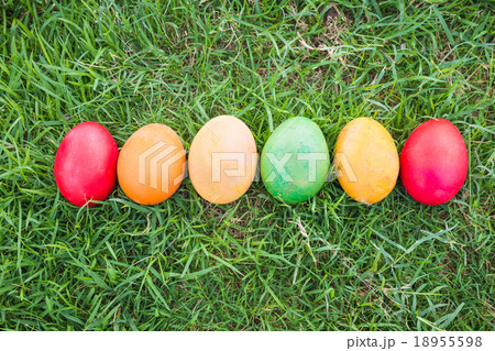 Row of Colorful Easter Eggs with Daisy  18955598