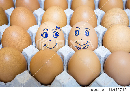 eggs is happiness eggs is happiness 18955715