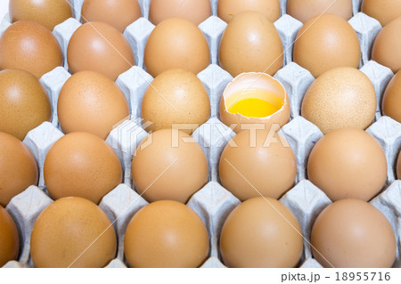 shell casing egg in package, yolk, albumen 18955716