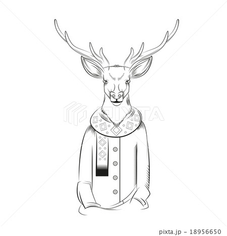 Black And White Deerのイラスト素材