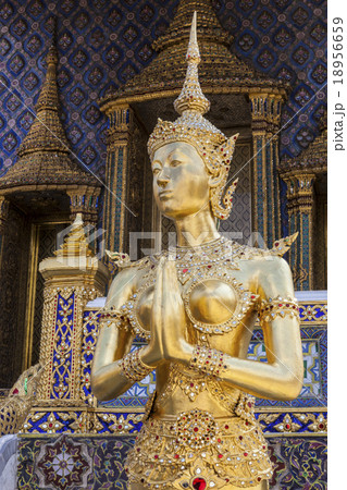 a graceful golden kinaree image a graceful golden kinaree image 18956659