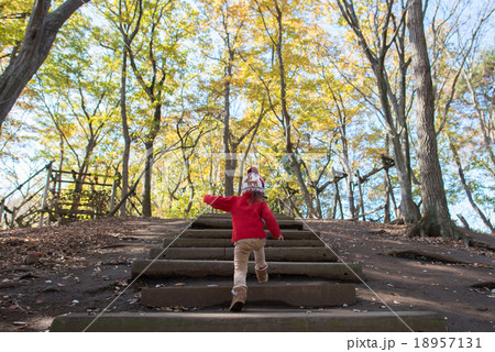 森の階段を歩く女の子 18957131