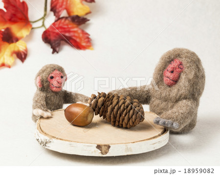 会議中?の親子サル(羊毛・紅葉付) 会議中?の親子サル(羊毛・紅葉付) 18959082