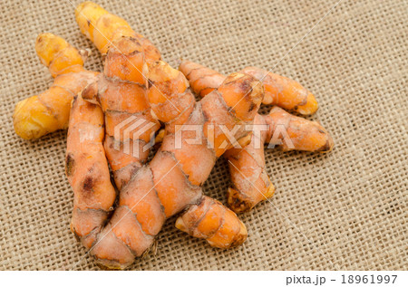 Turmeric. 18961997