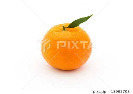 マンダリンオレンジ：mandarin orange 18962708