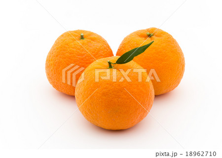 マンダリンオレンジ:mandarin orange マンダリンオレンジ:mandarin orange 18962710
