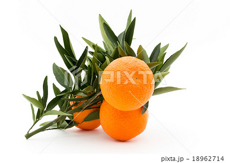 枝付きマンダリンオレンジ：mandarin orange 18962714