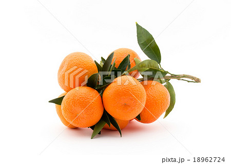 枝付きマンダリンオレンジ:mandarin orange 枝付きマンダリンオレンジ:mandarin orange 18962724