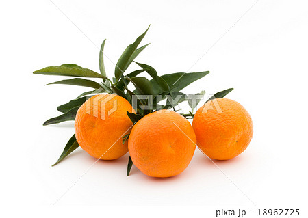 枝付きマンダリンオレンジ:mandarin orange 枝付きマンダリンオレンジ:mandarin orange 18962725