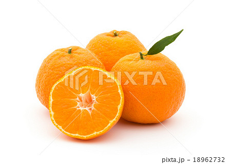 マンダリンオレンジ：mandarin orange 18962732