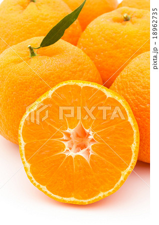 マンダリンオレンジ：mandarin orange 18962735