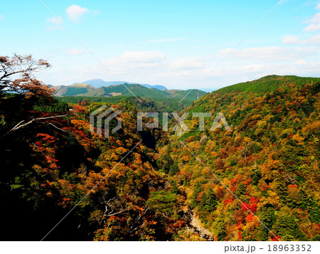 九酔渓　九重夢大吊橋　紅葉 18963352