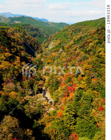 九酔渓 九重夢大吊橋 紅葉 九酔渓 九重夢大吊橋 紅葉 18963358