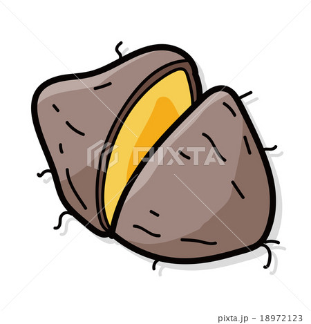 vegetable Sweet potatoes color doodle vegetable Sweet potatoes color doodle 18972123