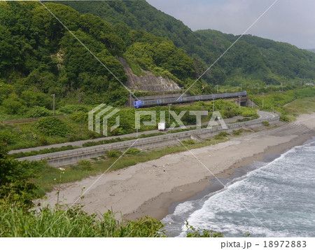 スーパー北斗7号 5007D キハ281系 礼文‐大岸 茶津崎展望台 スーパー北斗7号 5007D キハ281系 礼文‐大岸 茶津崎展望台 18972883