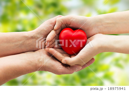 senior and young woman hands holding red heart 18975941